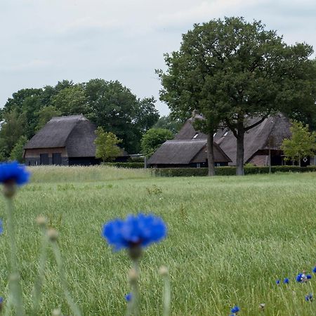 Gastenverblijf Lheederhof Dwingeloo Luaran gambar