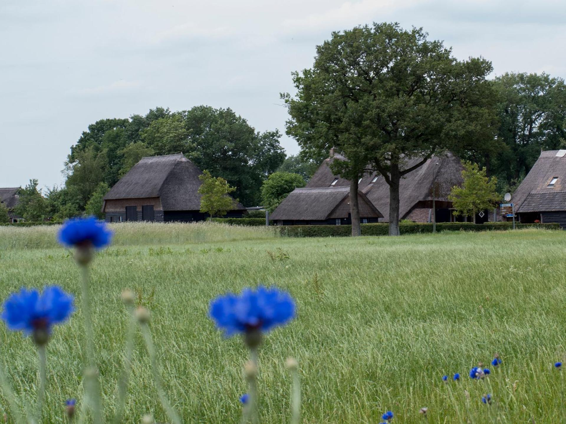 Gastenverblijf Lheederhof Dwingeloo Luaran gambar